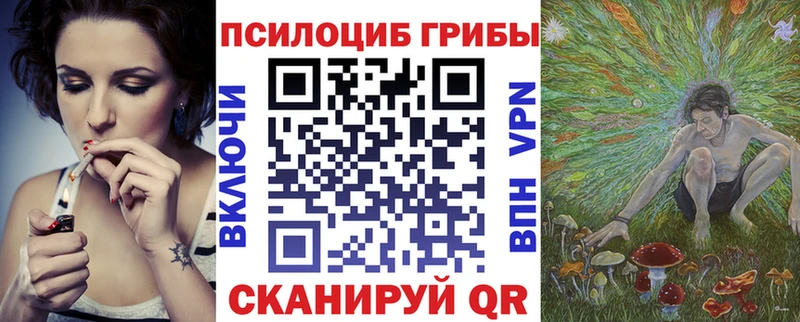 купить закладку  Знаменск  Галлюциногенные грибы MAGIC MUSHROOMS 