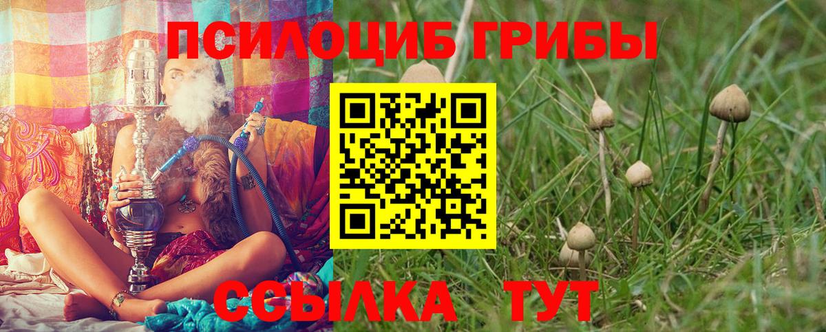 Галлюциногенные грибы Psilocybe  Галлюциногенные грибы GOLDEN TEACHER  Знаменск  Вход с VPN 