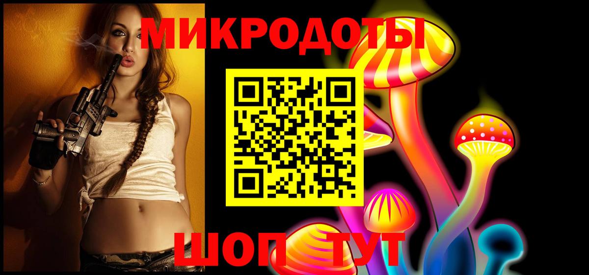 Псилоцибиновые грибы Psilocybe Знаменск